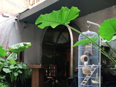 -ChitChat奇洽·Bistro(黎黄陂路店)