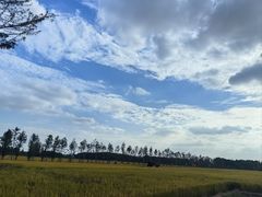 -嘉北郊野公园