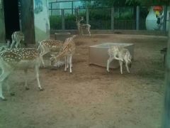 -鄂尔多斯野生动物园