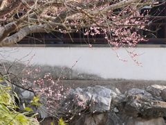 -艺圃