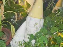 -Eckl’s爱氏热狗(猫街店)