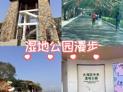 -大湾区中央湿地公园