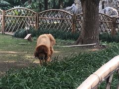 -上海静安宾馆