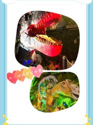 -恐龙探索乐园(磁器口店)