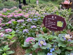-临平公园(临平街道)