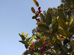 -白塘生态植物园