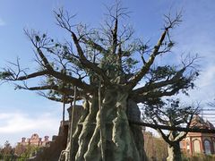 -满洲里口岸套娃景区