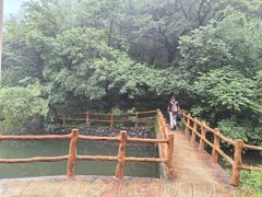 -连云港云龙涧原生态风景区