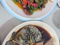 -煲来饱去冷水鱼