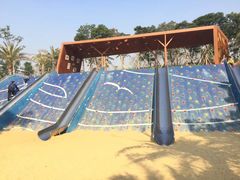 -宝安西湾红树林湿地公园