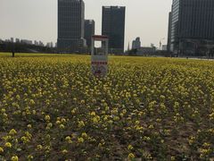 -喜来登酒店-盛宴标帜餐厅