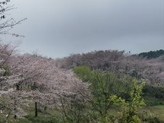 -重庆金爪爪特色干锅(大竹林直营店)