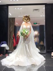 点击看大图 -GRACE KELLY婚纱与礼服(北京店)