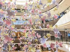-奈雪的茶(石家庄万象城店)