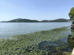 -无锡蠡湖国家湿地公园-蠡园