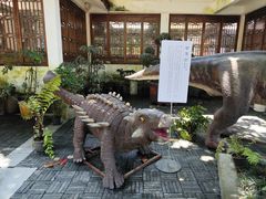 -深圳仙湖植物园