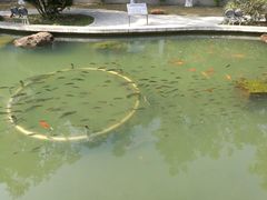 -广东温泉宾馆