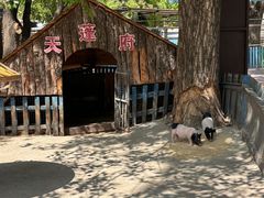 -沈阳森林动物园