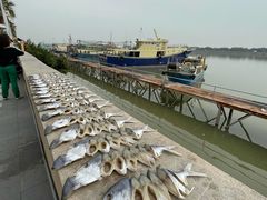 -南沙十九涌渔人码头-南门