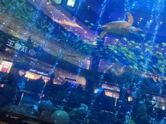 -成都浩海立方海洋公园