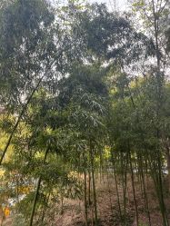 -馨月汇·一悦馨香月子中心(前滩店)