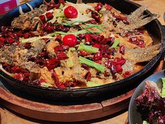 -老板恋上鱼(恒隆广场店)