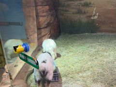 -正佳雨林生态植物园