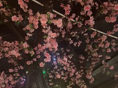 -黄家码头老火锅(解放碑旗舰店)