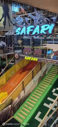 -卡通尼·Safari非洲探索乐园·生日会(金桥国际商业广场店)