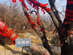 -海上云台山景区