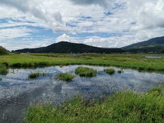 -腾冲北海湿地
