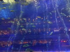 -成都浩海立方海洋公园