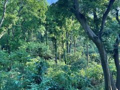 -青龙山国家森林公园