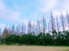 -前小桔亲子创意农场·草莓采摘·露营烧烤
