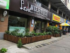 -派联宠物医院·24h·CT·异宠