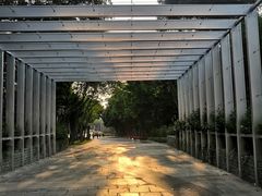 -深圳国际园林花卉博览园