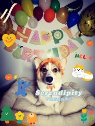 -酷嗒动物文化乐园(cutezoo西溪乐天城店)