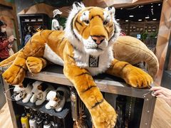 -珠海横琴国家地理探险家中心(创新方)