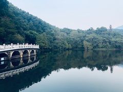 -梧桐山风景名胜区