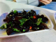 -墨脱石锅椰子鸡•香草鸭•东山羊(大东海店)