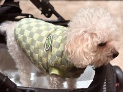 -龙森园火锅(琴台路店)