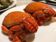 -西安高新希尔顿酒店·咖啡露台西餐厅