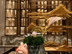 -杭州君悦酒店