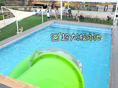 -爪吧宠物乐园·宠物泳池(温榆河示范区店)