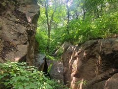 -大岭沟猕猴桃谷风景区