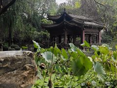 -莲湖公园