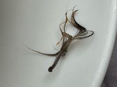 -蔼若春.传承云南菜(金碧公园店)