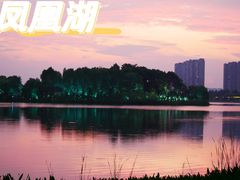 -桐乡凤凰湖