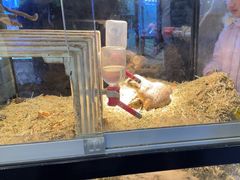 -宠物世家(仲盛世界商城店)
