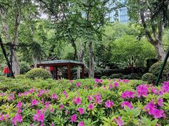 -静安公园(静安寺街道)